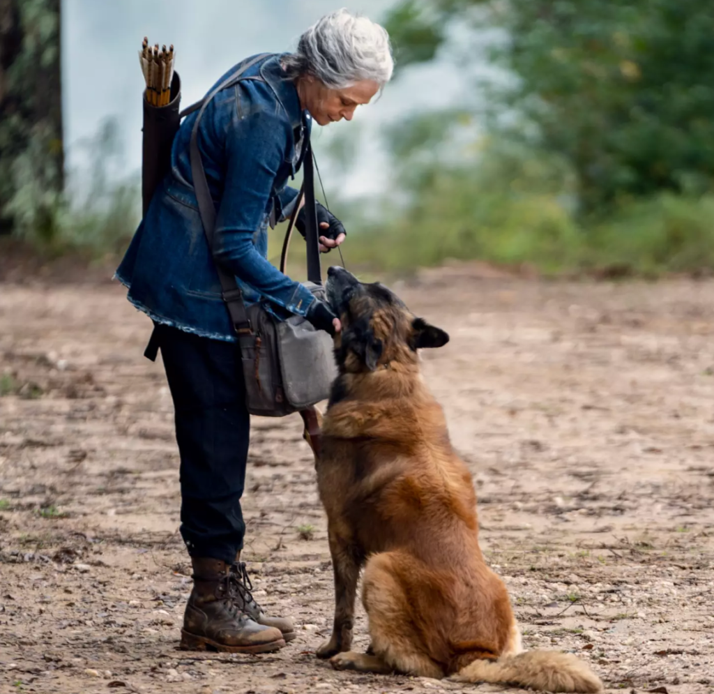 Seven, the dog from The Walking Dead, has passed away.